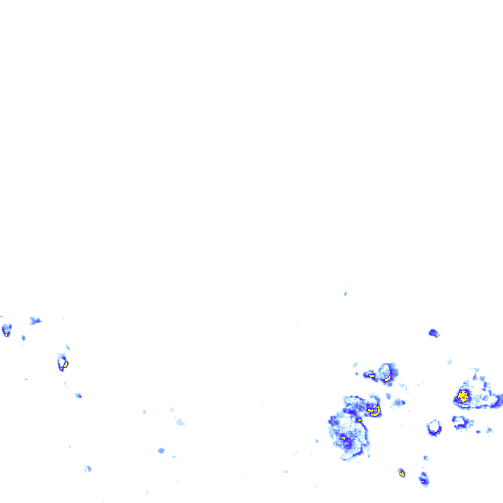 rainLayer