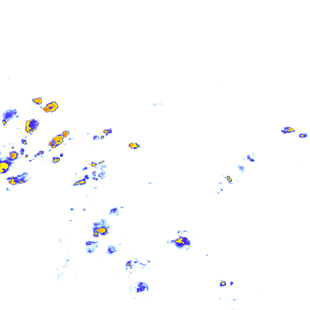 rainLayer