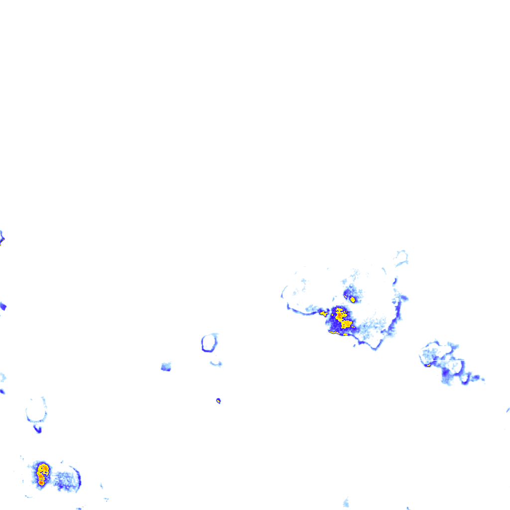 rainLayer