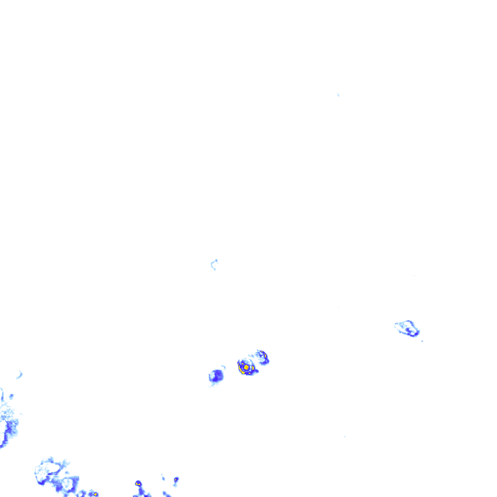 rainLayer