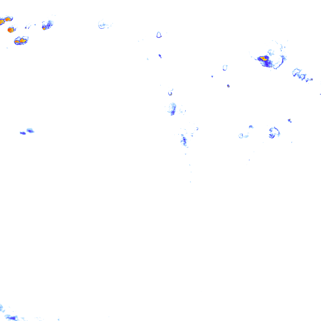 rainLayer