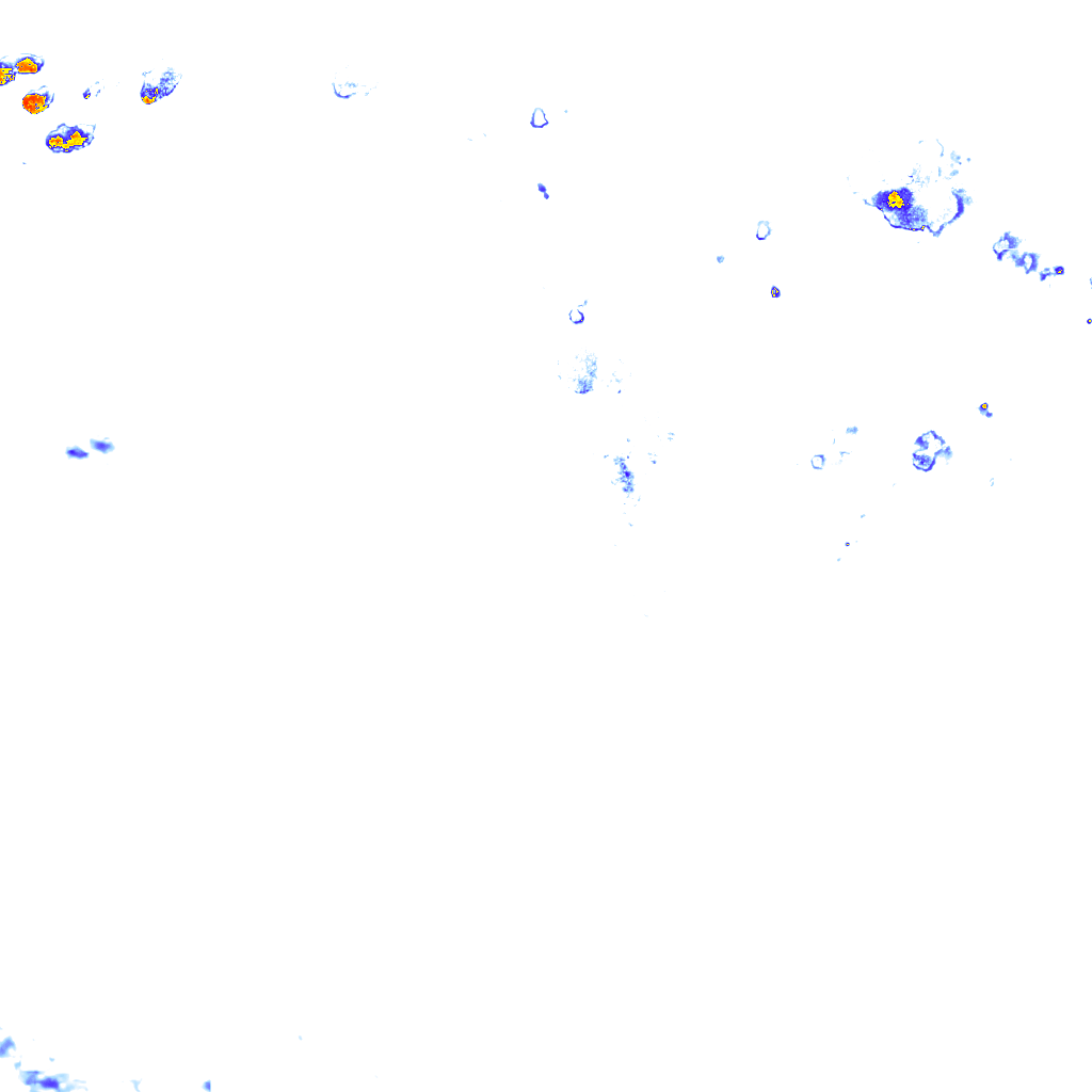 rainLayer