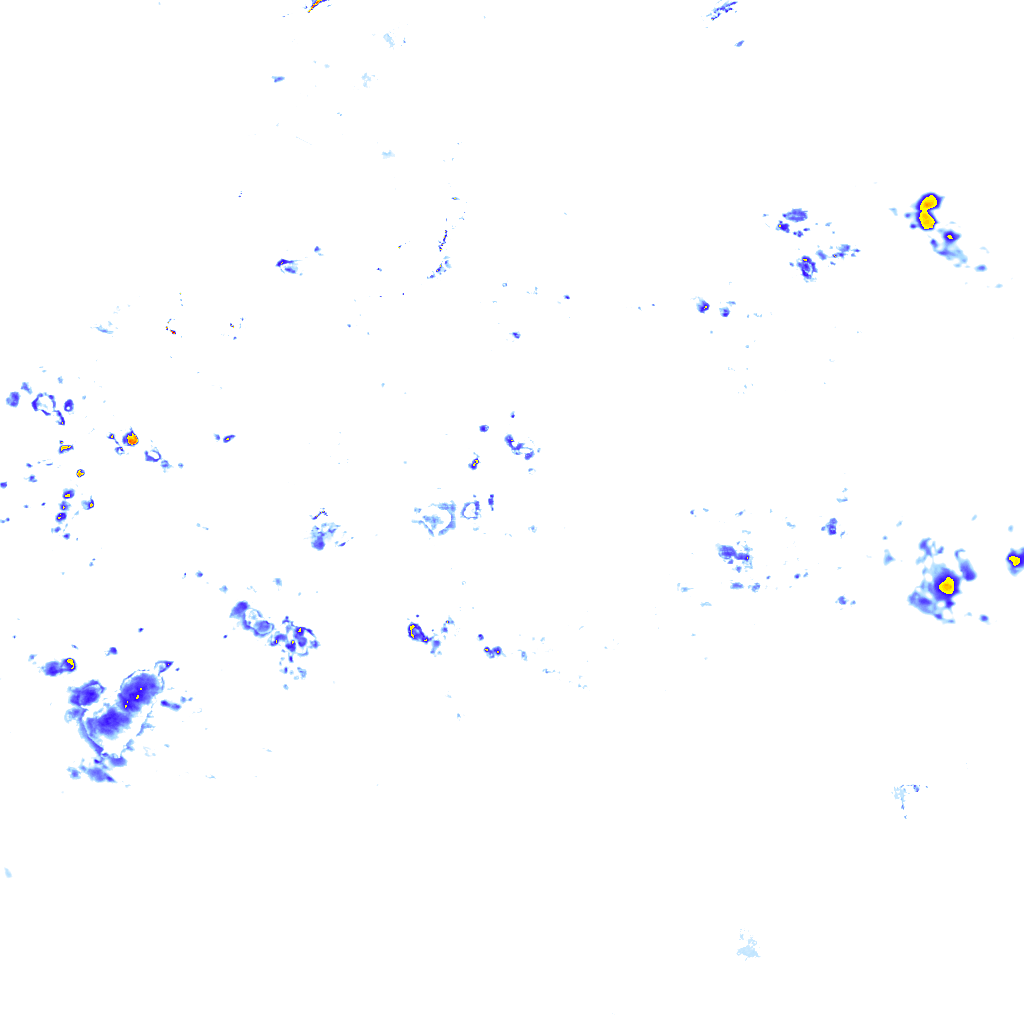 rainLayer