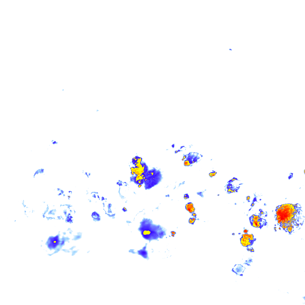 rainLayer