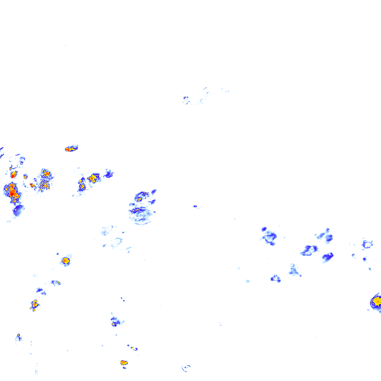rainLayer