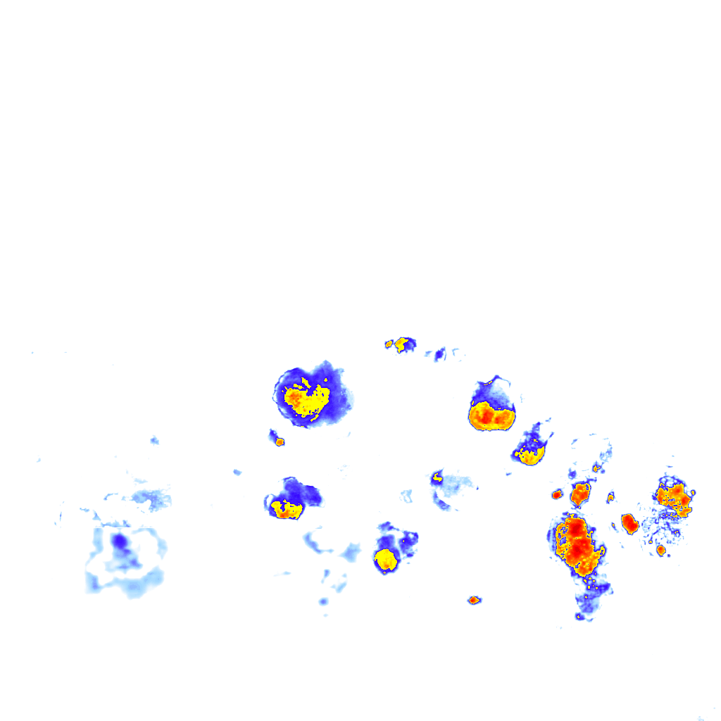 Image Layer