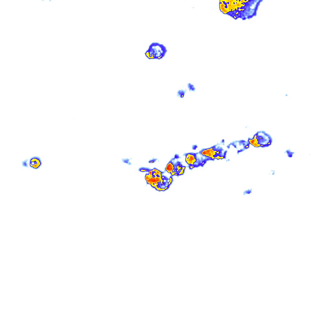 rainLayer