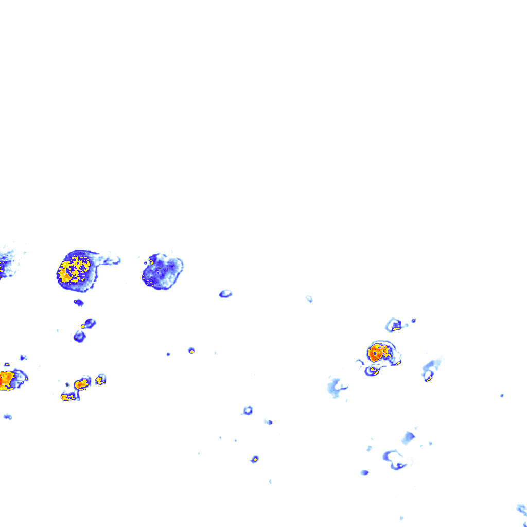 rainLayer