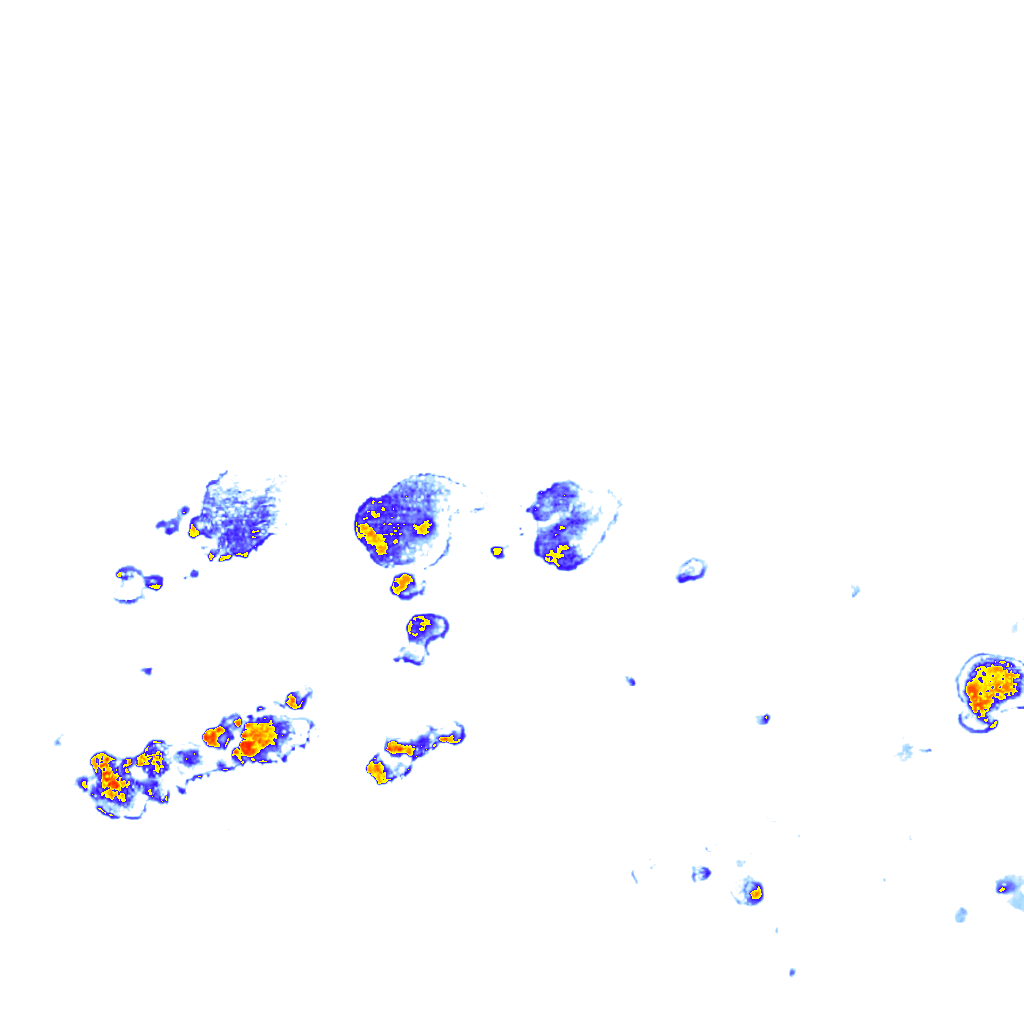 rainLayer