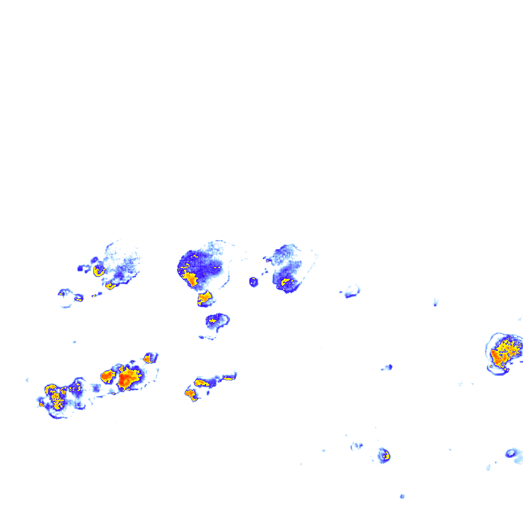 rainLayer