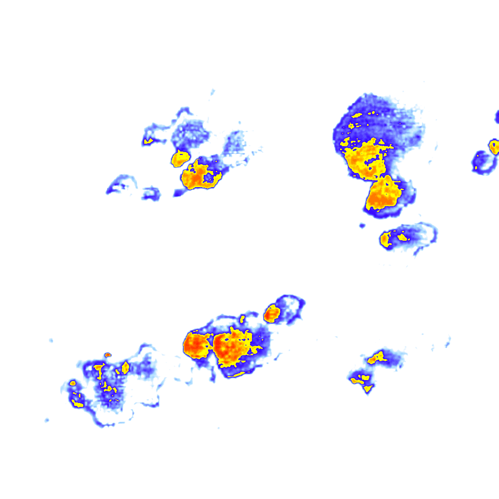 rainLayer