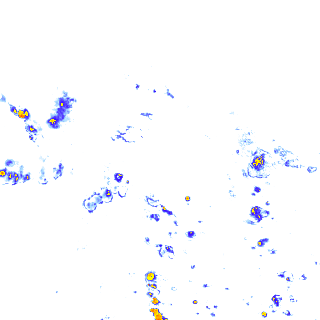 rainLayer