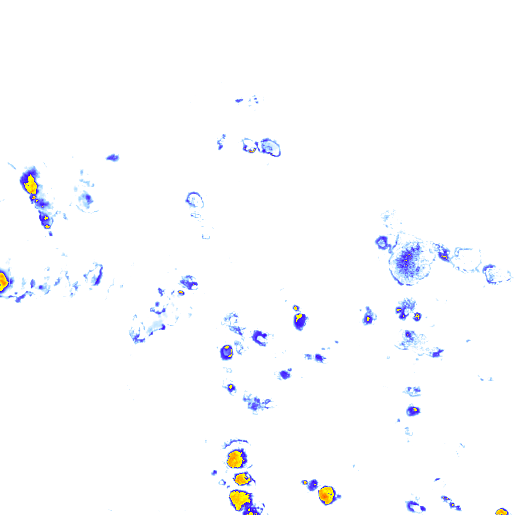 Image Layer