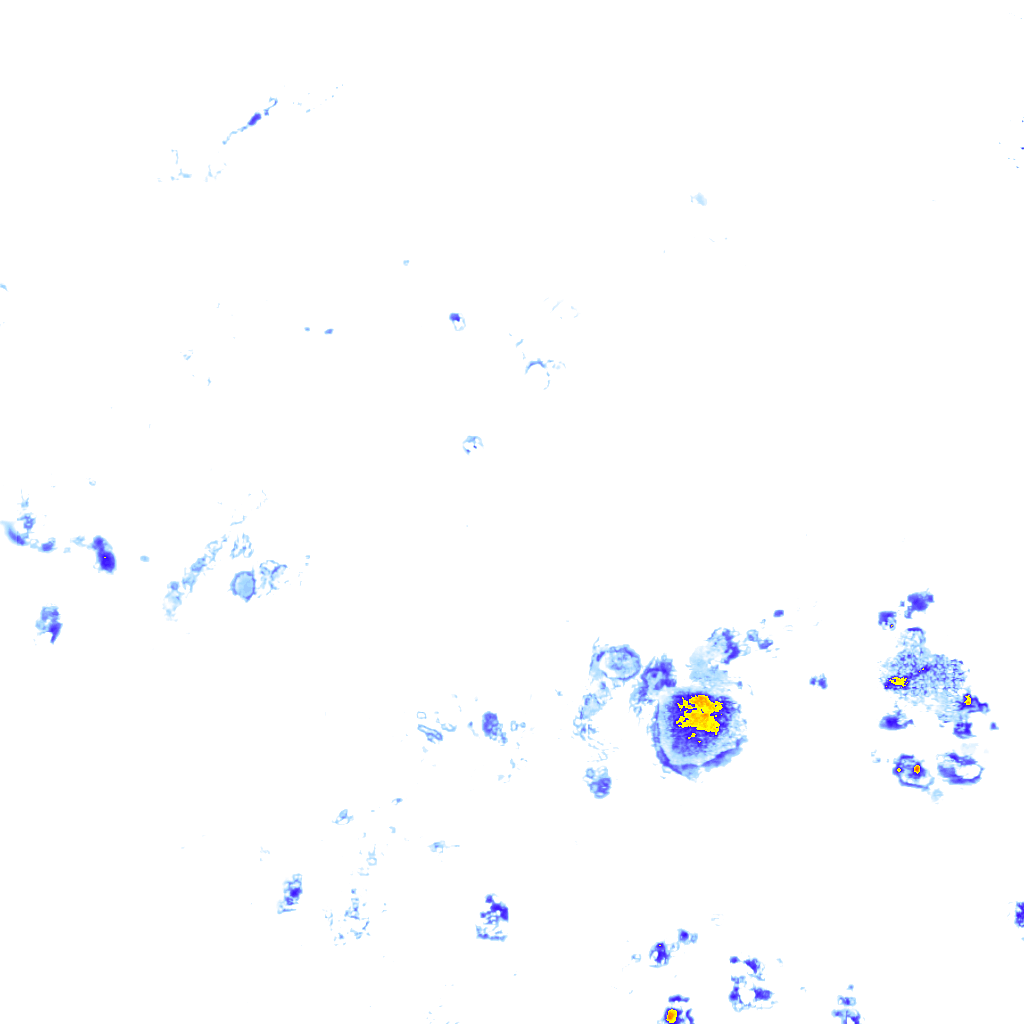 Image Layer