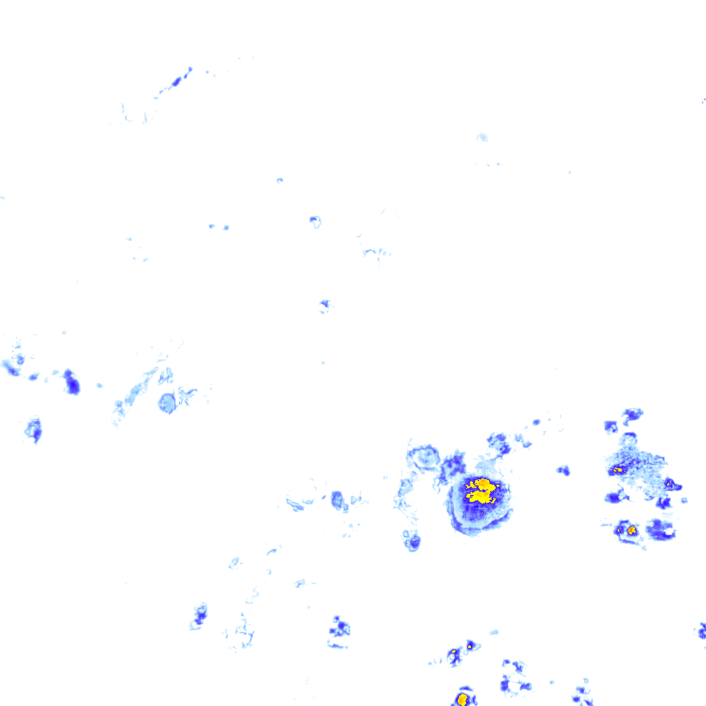 rainLayer