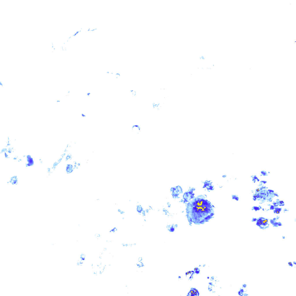 Image Layer