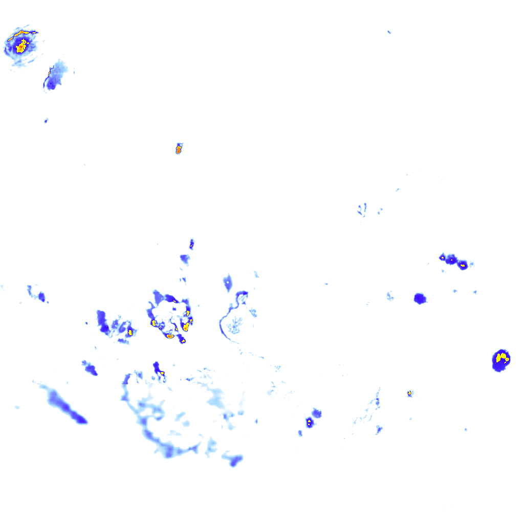 rainLayer