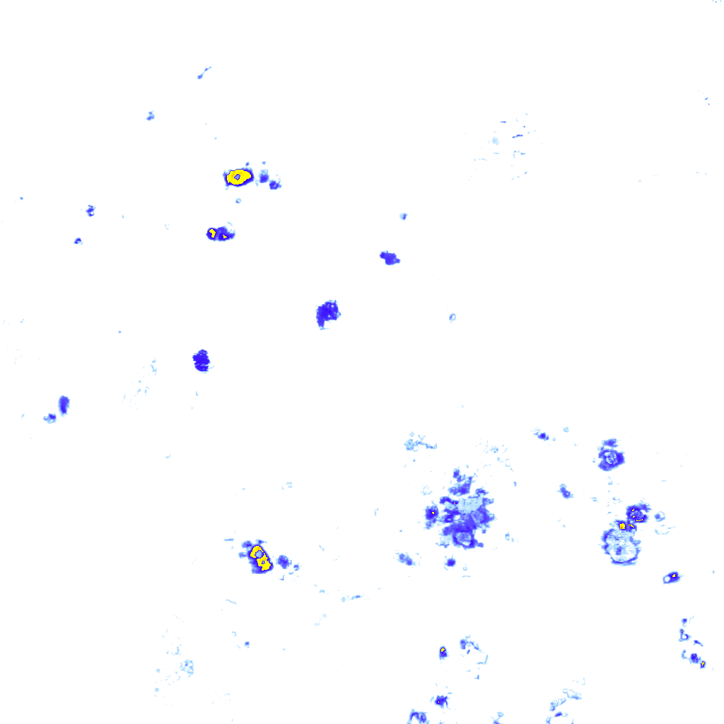 rainLayer