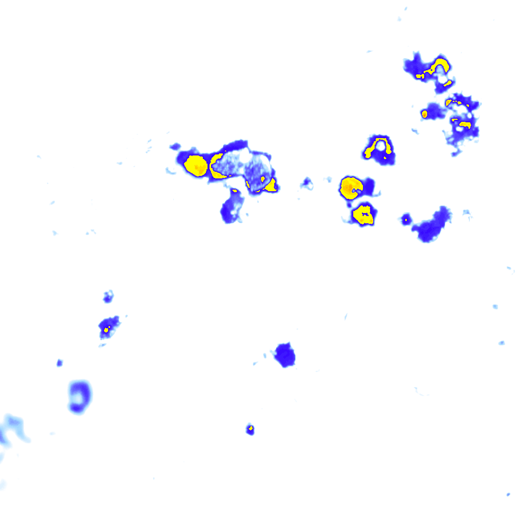 Image Layer