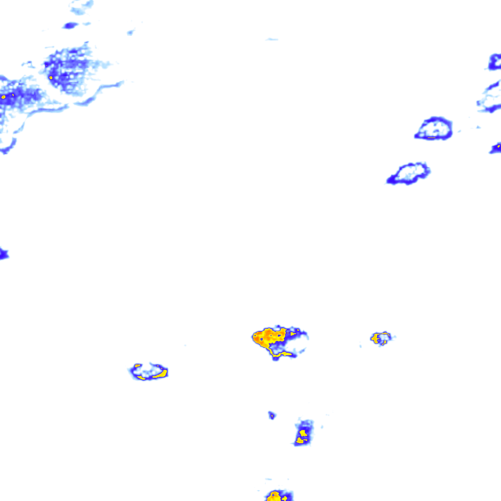 rainLayer