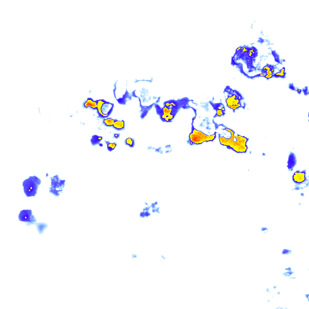 Image Layer