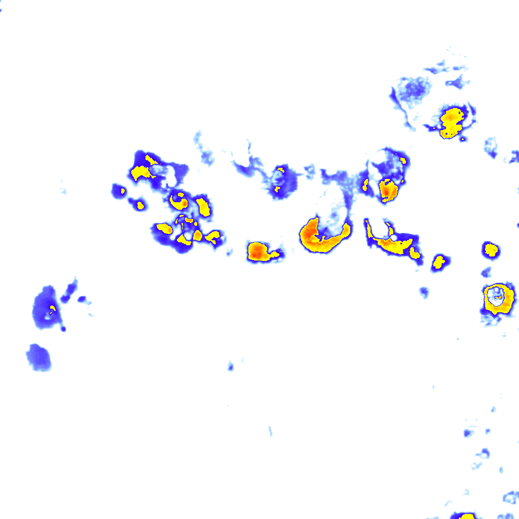 Image Layer