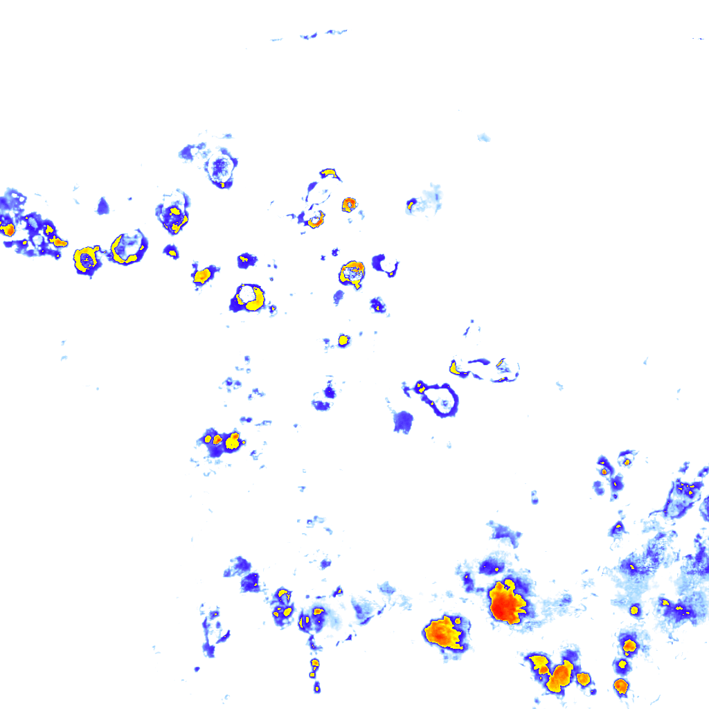Image Layer