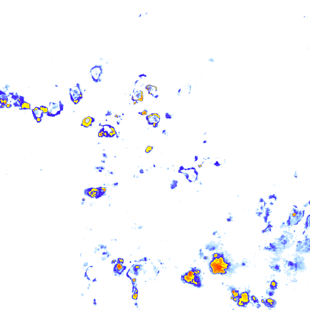 rainLayer