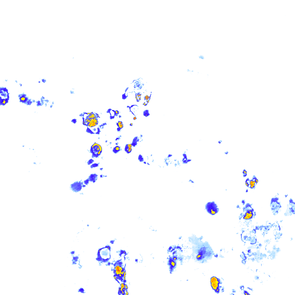 Image Layer