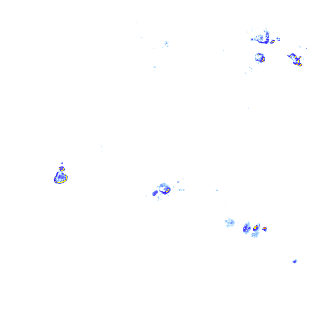 rainLayer