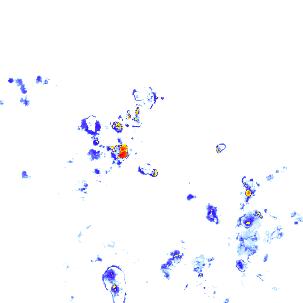 Image Layer
