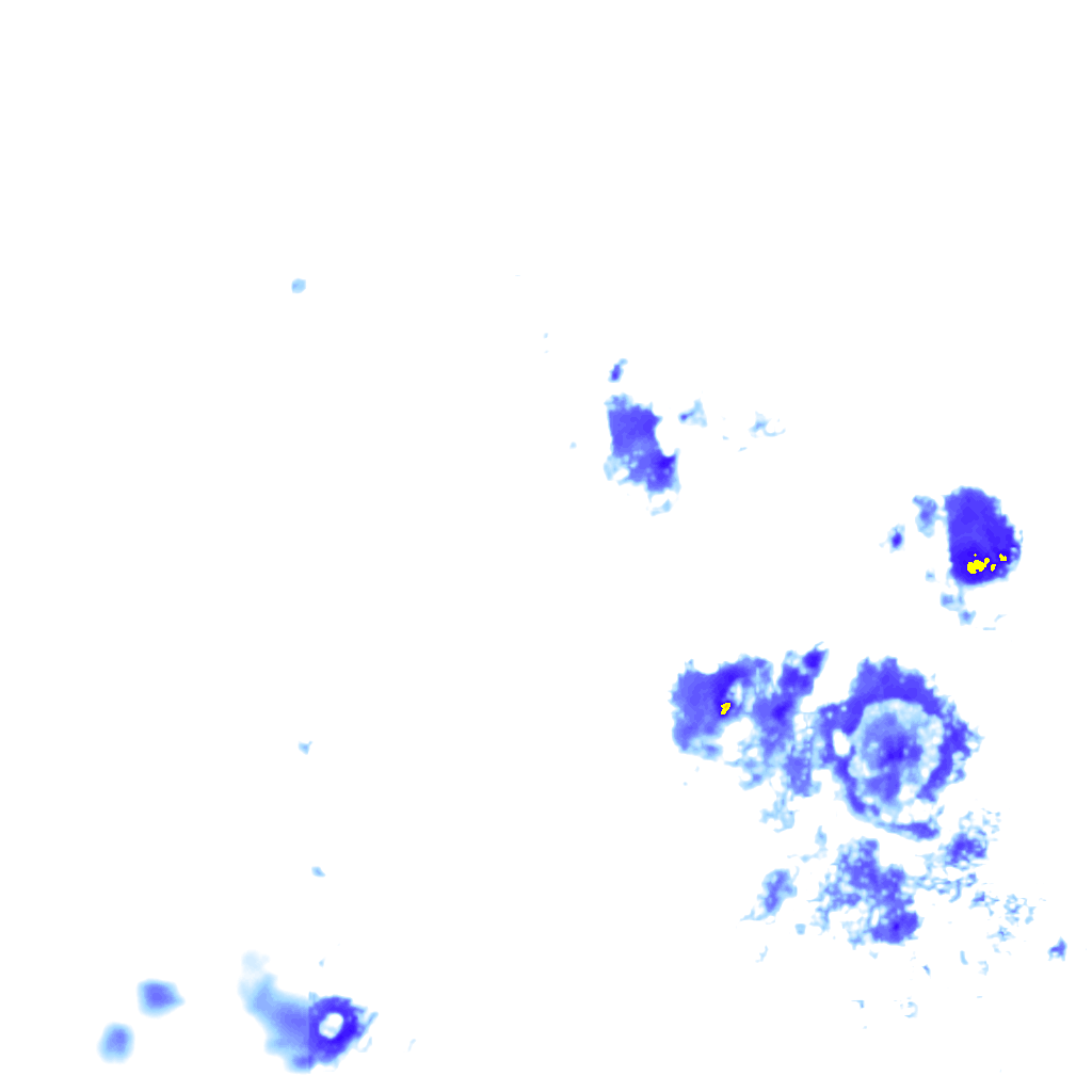 rainLayer