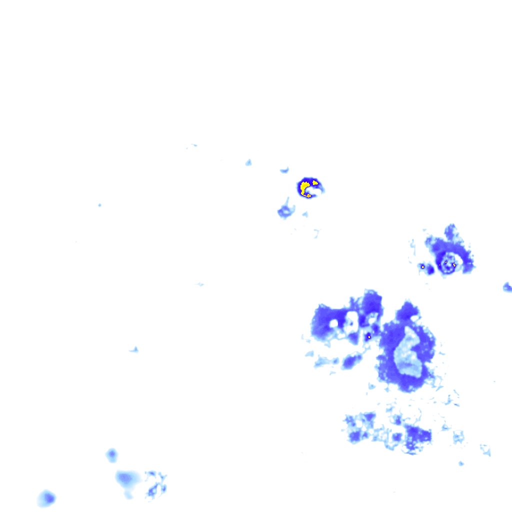 Image Layer
