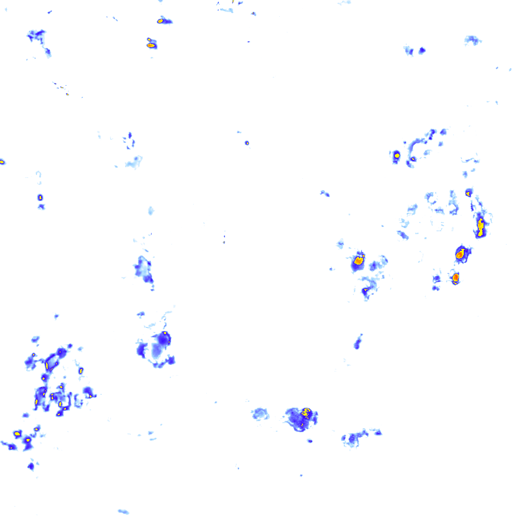 Image Layer