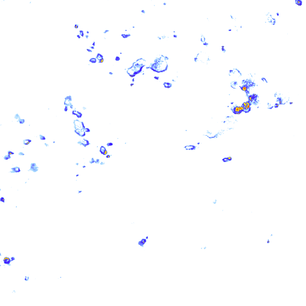 Image Layer