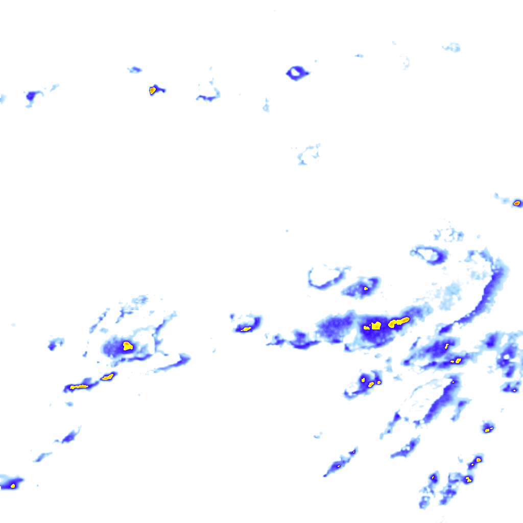 rainLayer