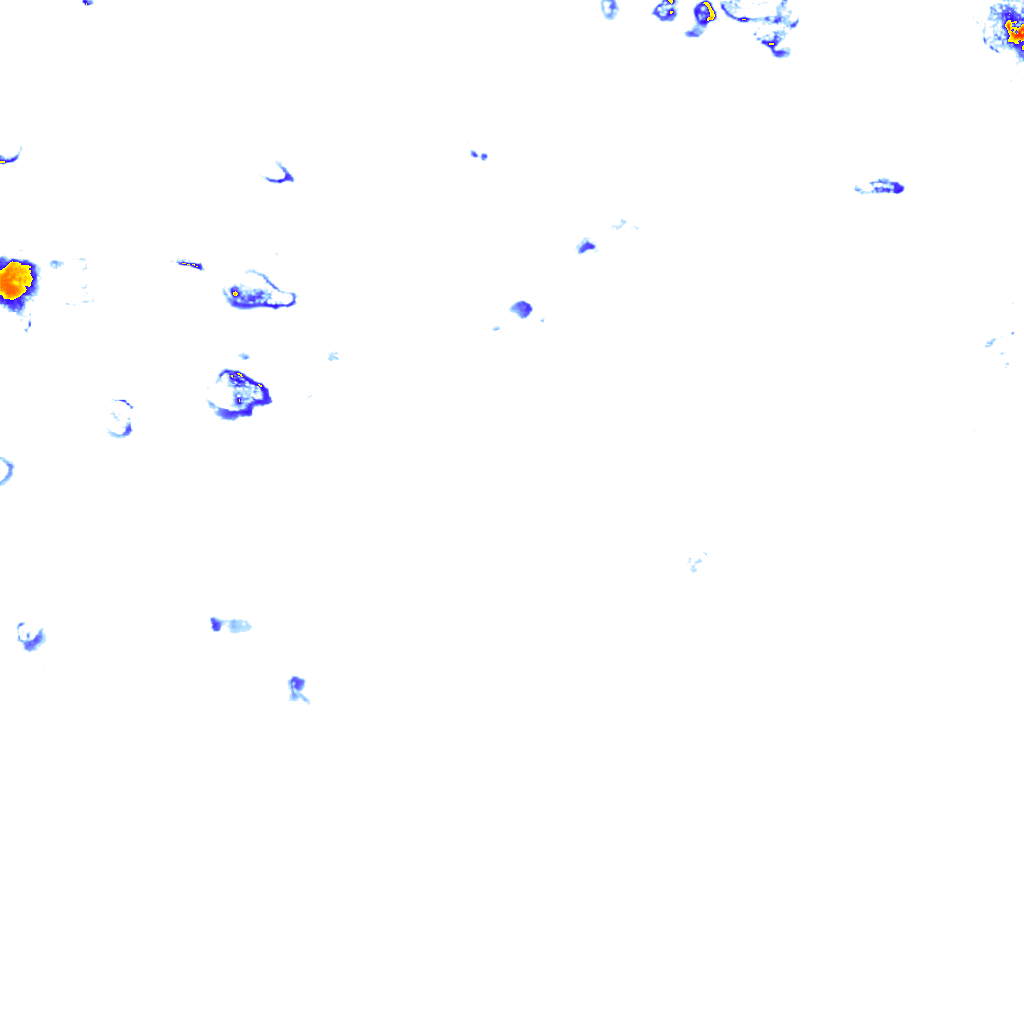 rainLayer