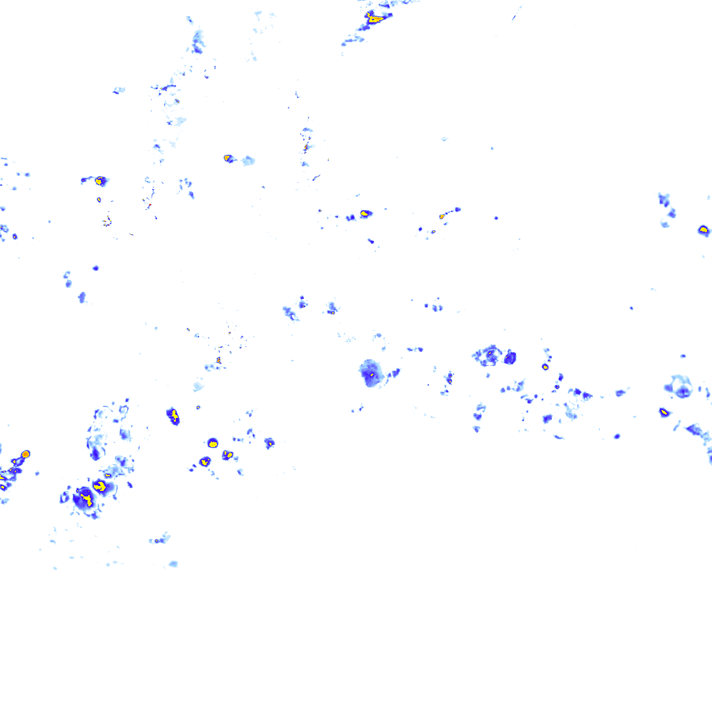 rainLayer
