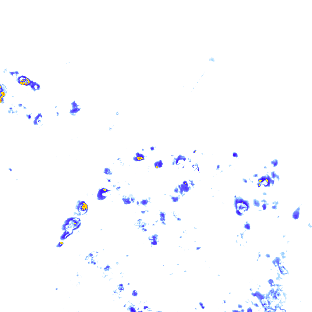 rainLayer