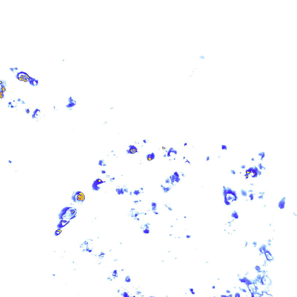 rainLayer