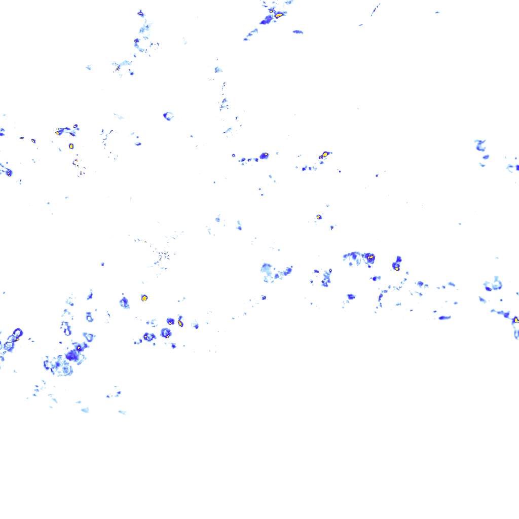 rainLayer