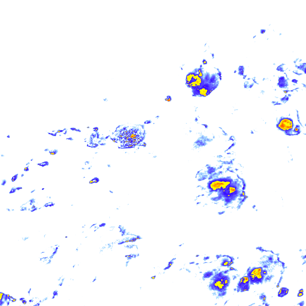 rainLayer