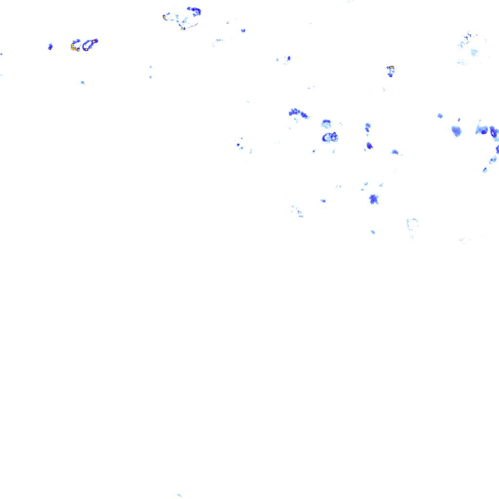 rainLayer