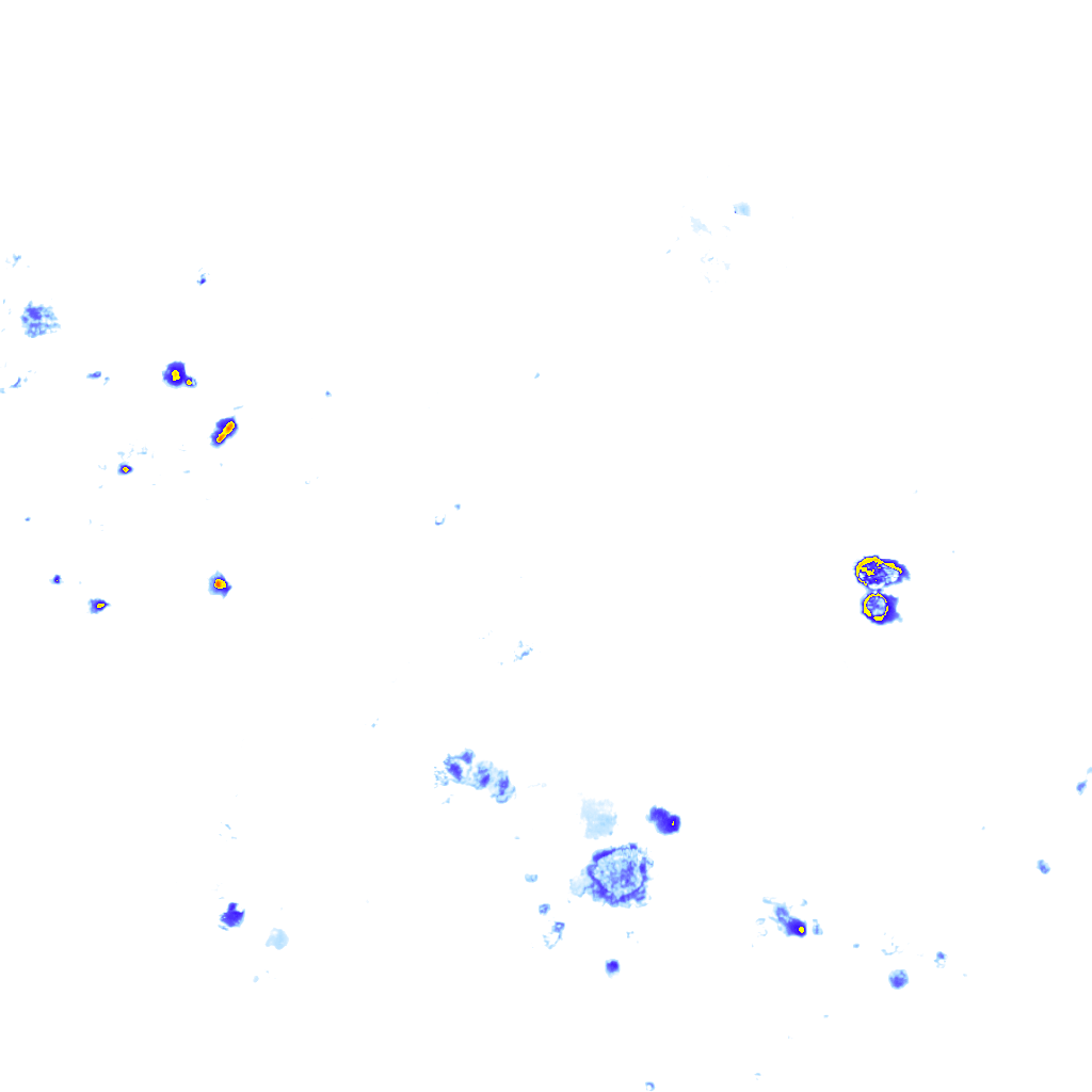 rainLayer