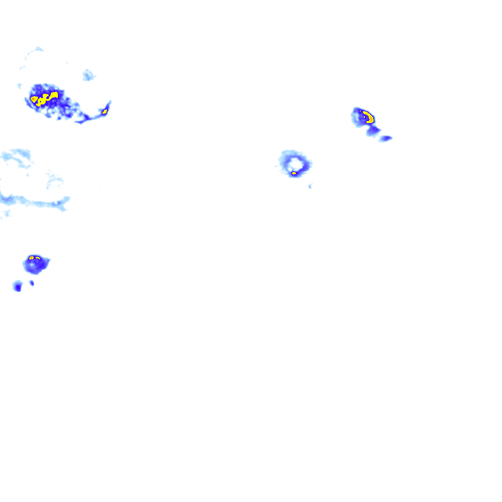 rainLayer