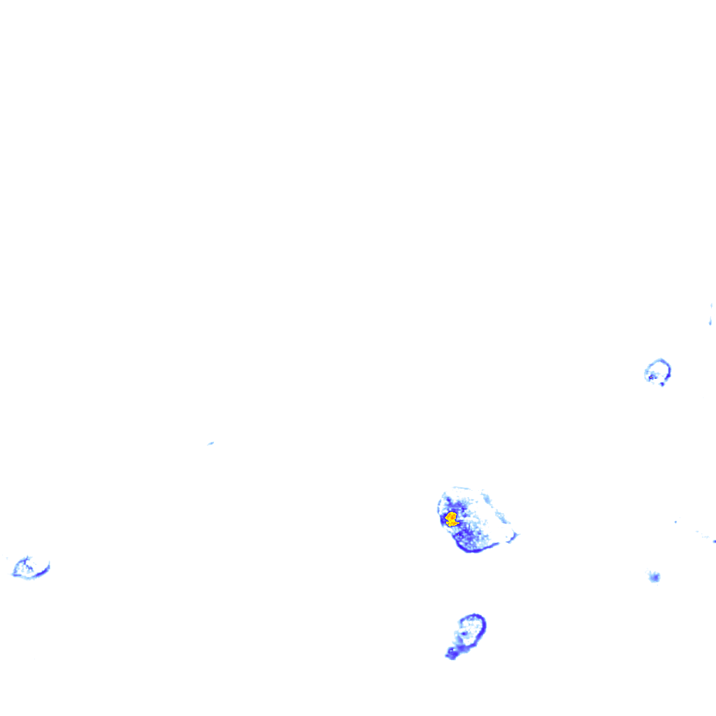 rainLayer