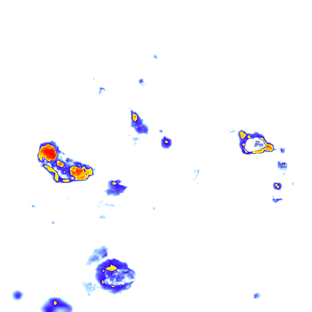 Image Layer