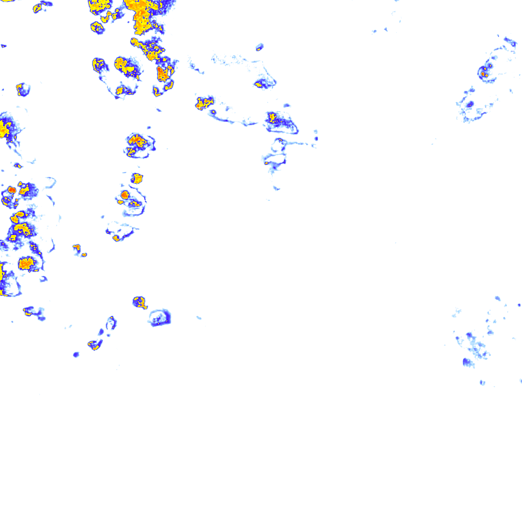 rainLayer