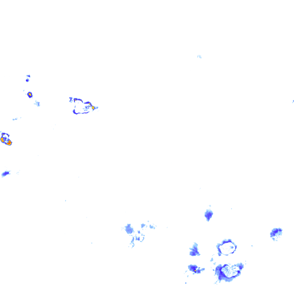 Image Layer