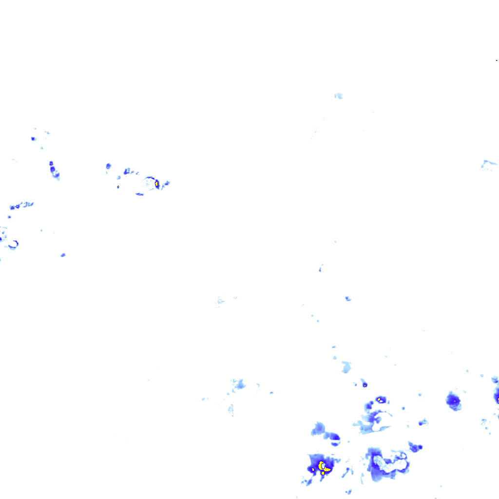 rainLayer